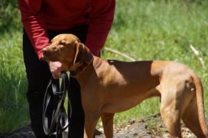 Training 31.05.2020 – Oberscheld 23
